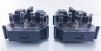 Manley Snapper Mono Tube Power Amplifier