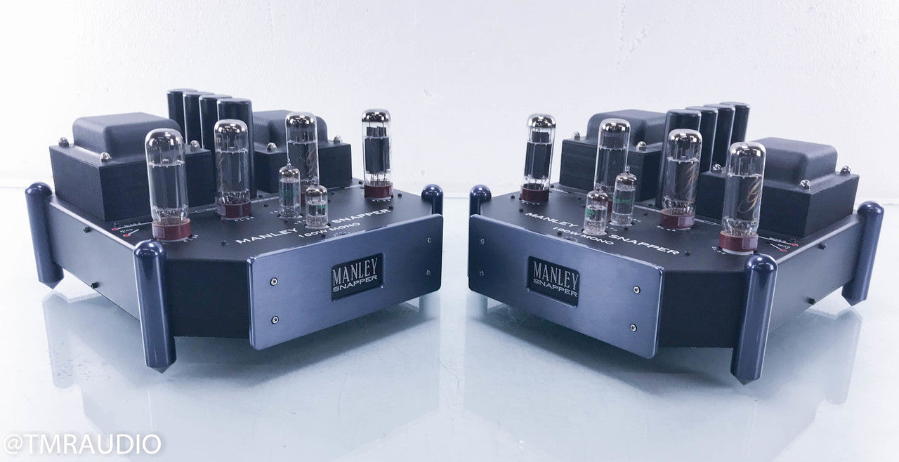 Manley Snapper Mono Tube Power Amplifier