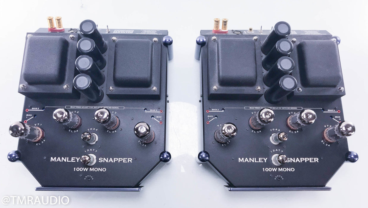 Manley Snapper Mono Tube Power Amplifier