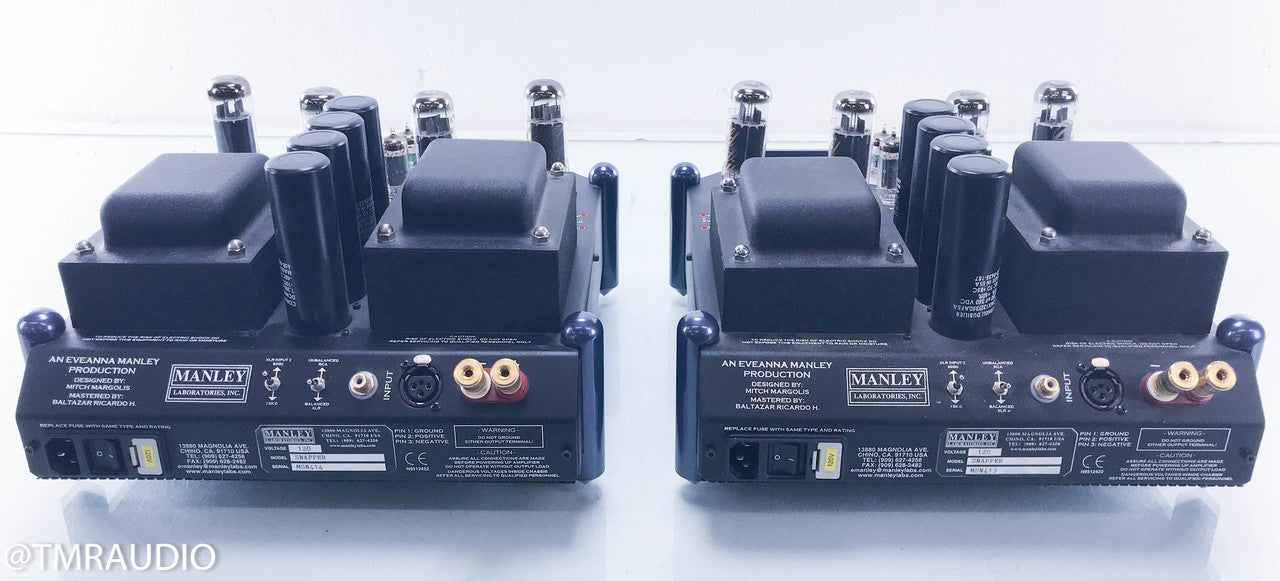 Manley Snapper Mono Tube Power Amplifier