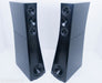YG Acoustics Sonja 1.2 NVS Collaboration