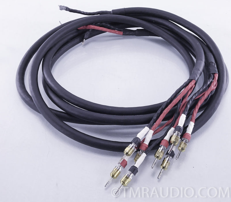 Cardas Audio Golden Reference 3m Biwire Speaker Cables