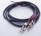 Cardas Audio Golden Reference 3m Biwire Speaker Cables