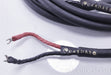 Cardas Audio Golden Reference 3m Biwire Speaker Cables