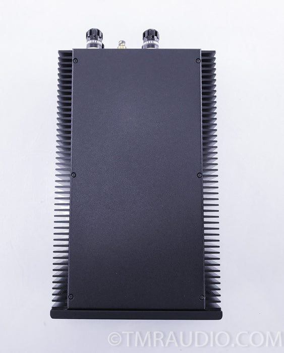 Eximus TeddyPardo ST 60 Stereo Power Amplifier