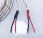Wireworld Polaris Speaker Cables Series II