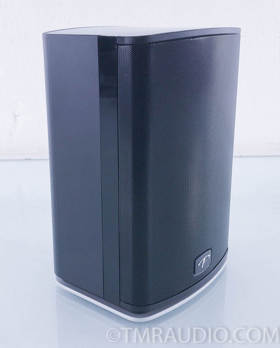 Paradigm PW600 Premium Wireless Speaker