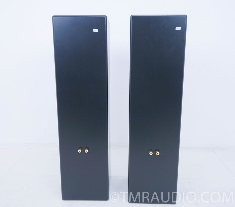 Tekton Minilore Floorstanding Speakers