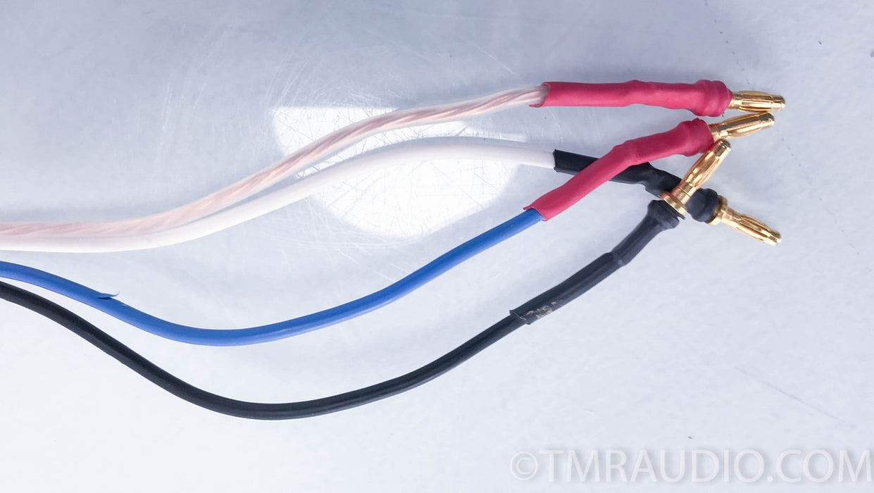 Tara Labs Prism 10ft. Bi-Wire Speaker Cable (Single)