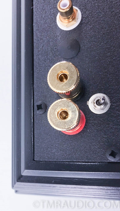 Decware SE34I.5 Stereo Tube Power Amplifier