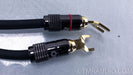 Clarus Aqua Speaker Cables