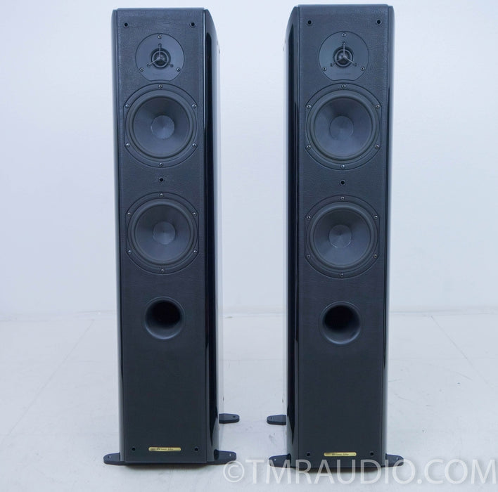 Sonus Faber Grand Piano Home Floorstanding Speakers