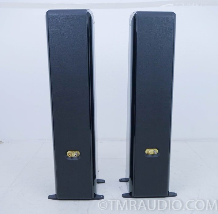 Sonus Faber Grand Piano Home Floorstanding Speakers