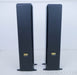 Sonus Faber Grand Piano Home Floorstanding Speakers