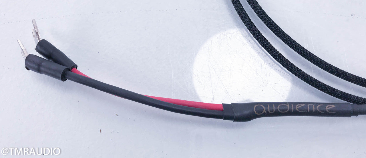 Audience Au24e Speaker Cables