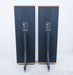 Vandersteen 3A Floorstanding Speakers w/ Sound Anchor Stands