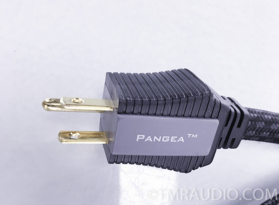Pangaea Audio AC-14 SE Power Cable