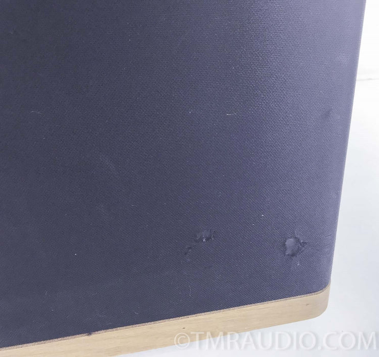 Vandersteen Model 2W Powered Subwoofer w/ WX-2 Crossover