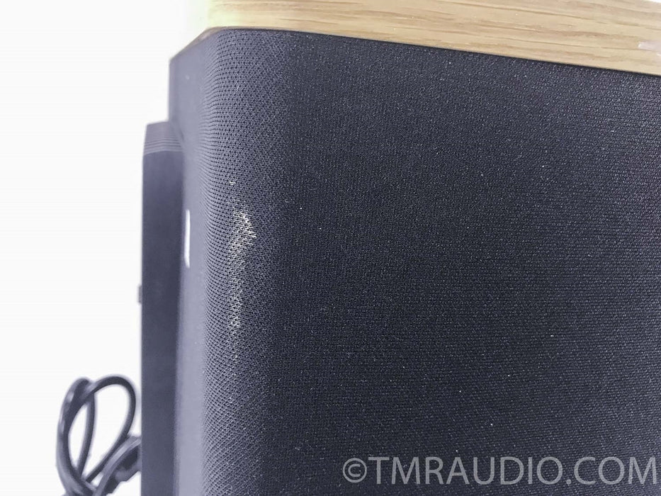 Vandersteen Model 2W Powered Subwoofer w/ WX-2 Crossover