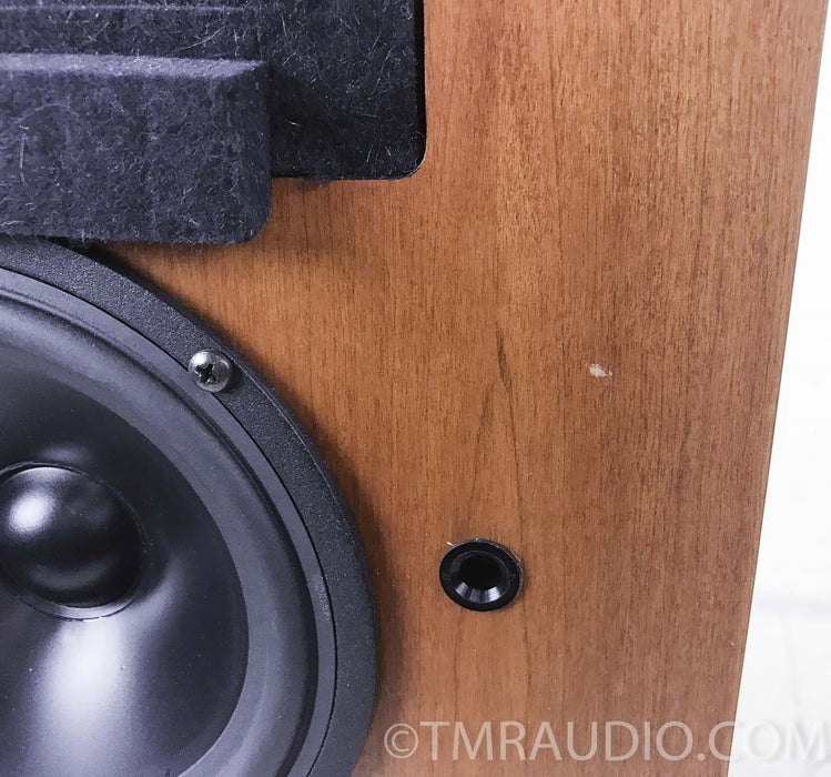 Dunlavy Cantata Floorstanding Speakers
