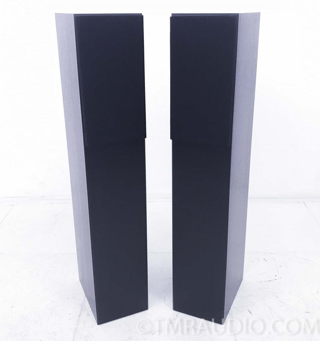 Totem Sttaf Floorstanding Speakers