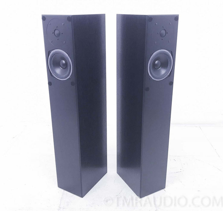 Totem Sttaf Floorstanding Speakers