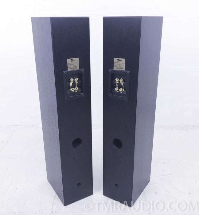 Totem Sttaf Floorstanding Speakers