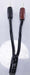 AudioQuest Rocket 44 Bi-wire Speaker Cables