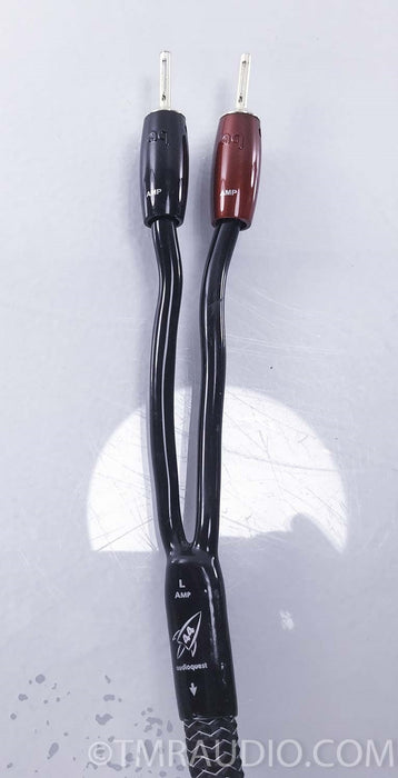 AudioQuest Rocket 44 Bi-wire Speaker Cables