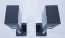 Raidho Acoustics X-1 Bookshelf Speakers w/ Stands