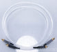 Darwin Truth RCA Cables