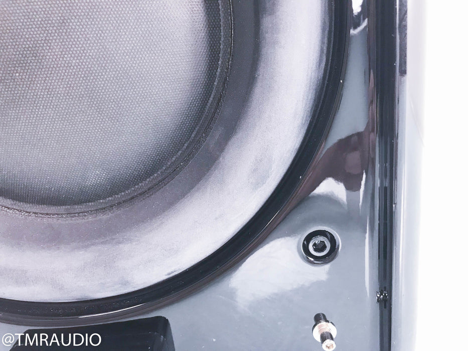 Velodyne DD-10 Digital Drive Powered Subwoofer