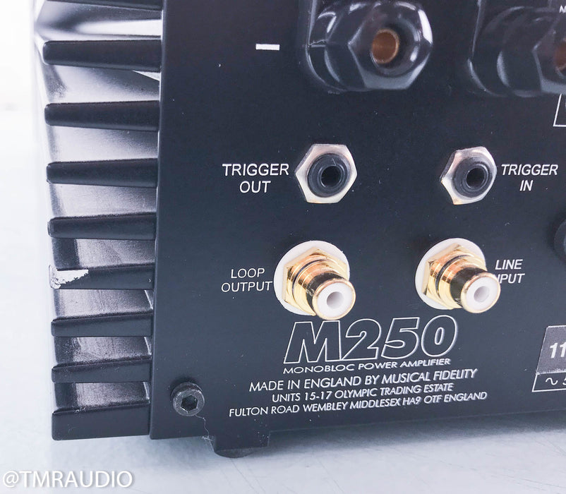 Musical Fidelity M250 Mono Power Amplifier
