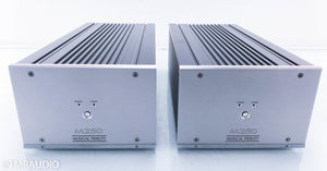 Musical Fidelity M250 Mono Power Amplifier