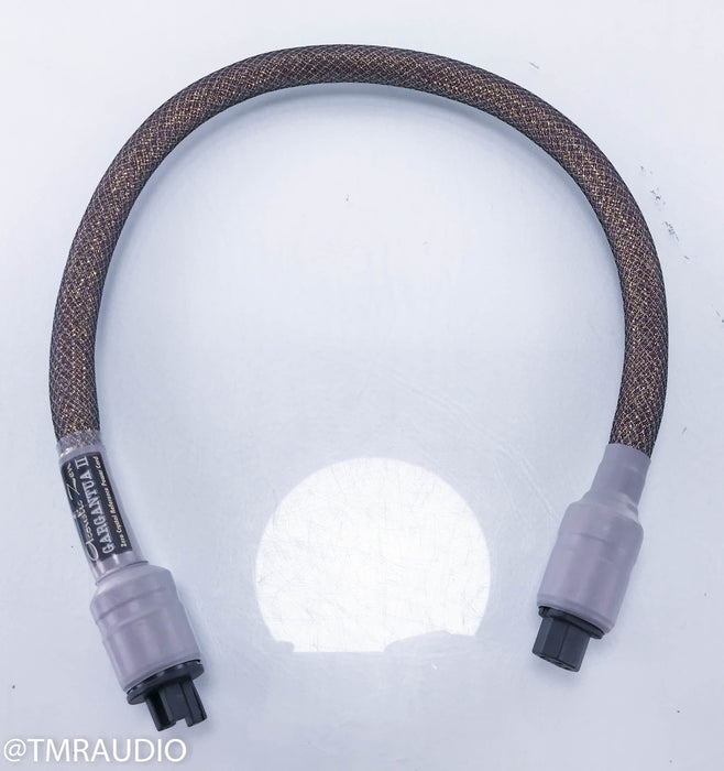 Acoustic Zen Gargantua II Power Cable