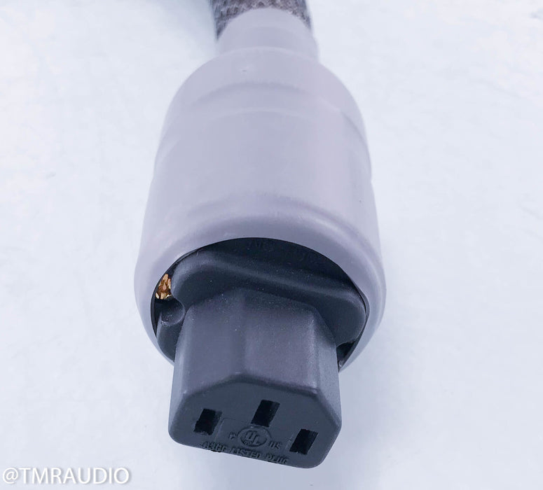 Acoustic Zen Gargantua II Power Cable