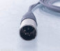 Cardas Clear HD800 Balanced 4-pin XLR 2.5mHeadphone Cable