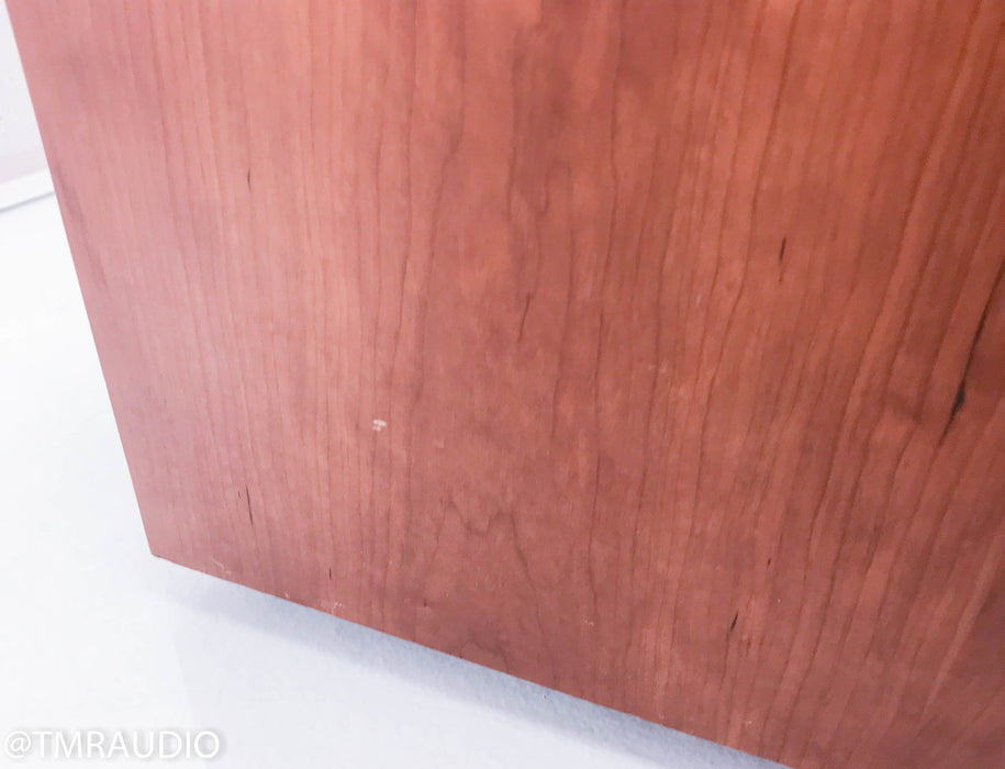 Dynaudio Sub 500 Powered Subwoofer (No Remote)