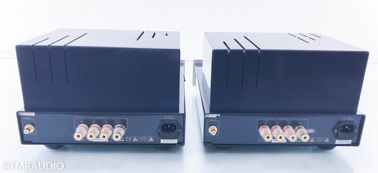 PrimaLuna ProLogue 7 Mono Power Amplifier