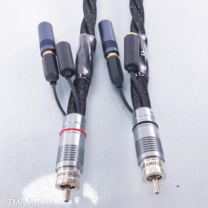 Synergistic Research Galileo LE RCA Cables