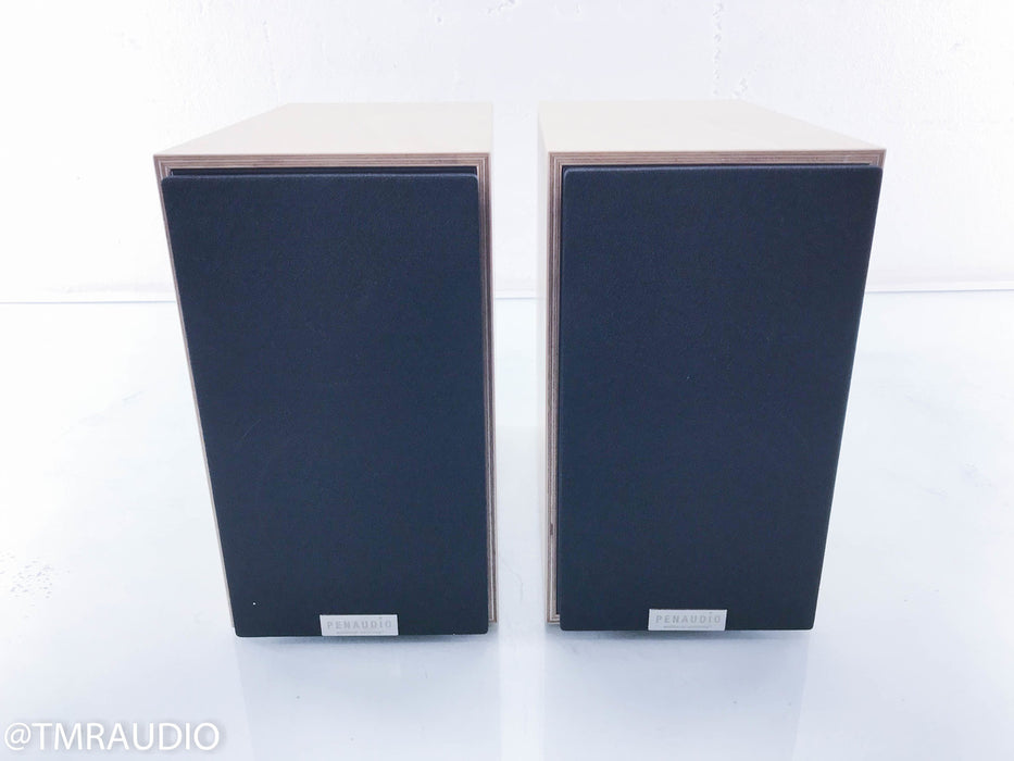 Penaudio Rebel Two Bookshelf Speakers II