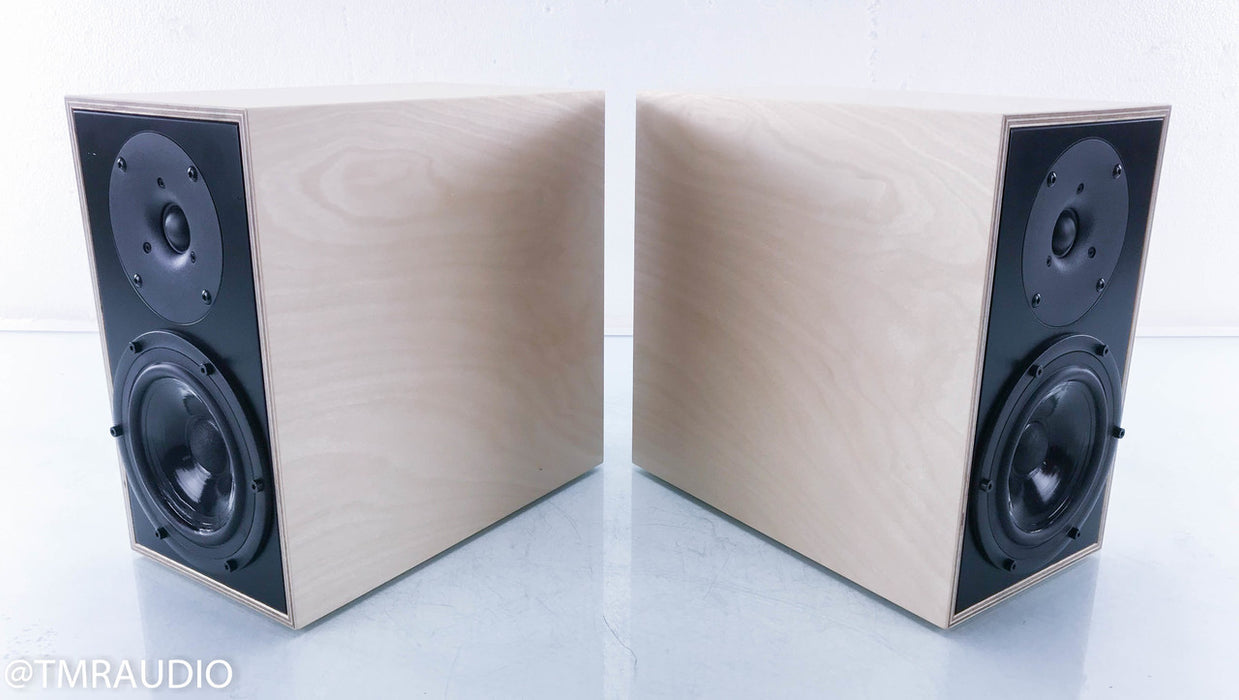 Penaudio Rebel Two Bookshelf Speakers II