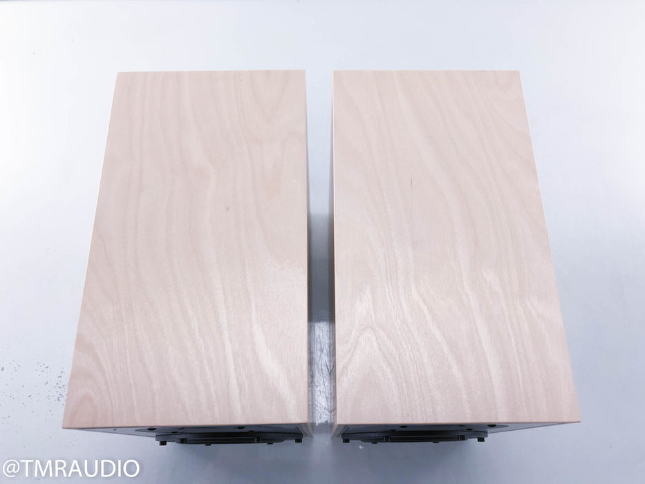 Penaudio Rebel Two Bookshelf Speakers II