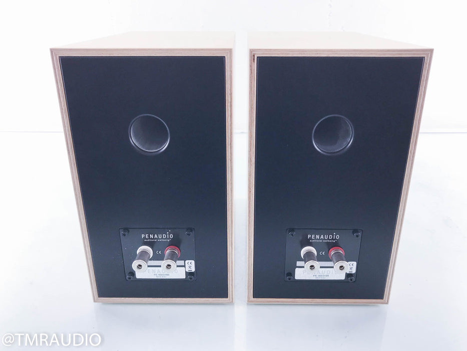 Penaudio Rebel Two Bookshelf Speakers II