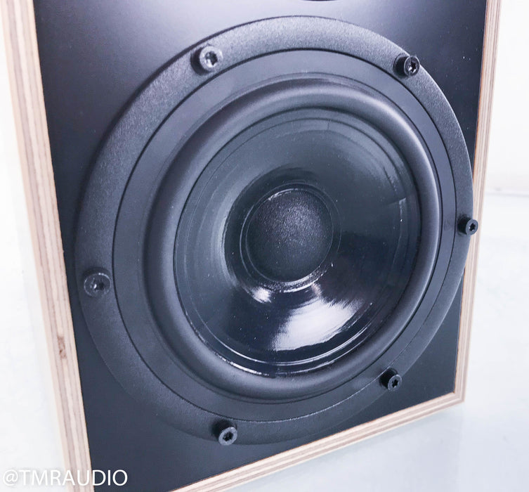 Penaudio Rebel Two Bookshelf Speakers II