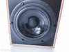 Penaudio Rebel Two Bookshelf Speakers II