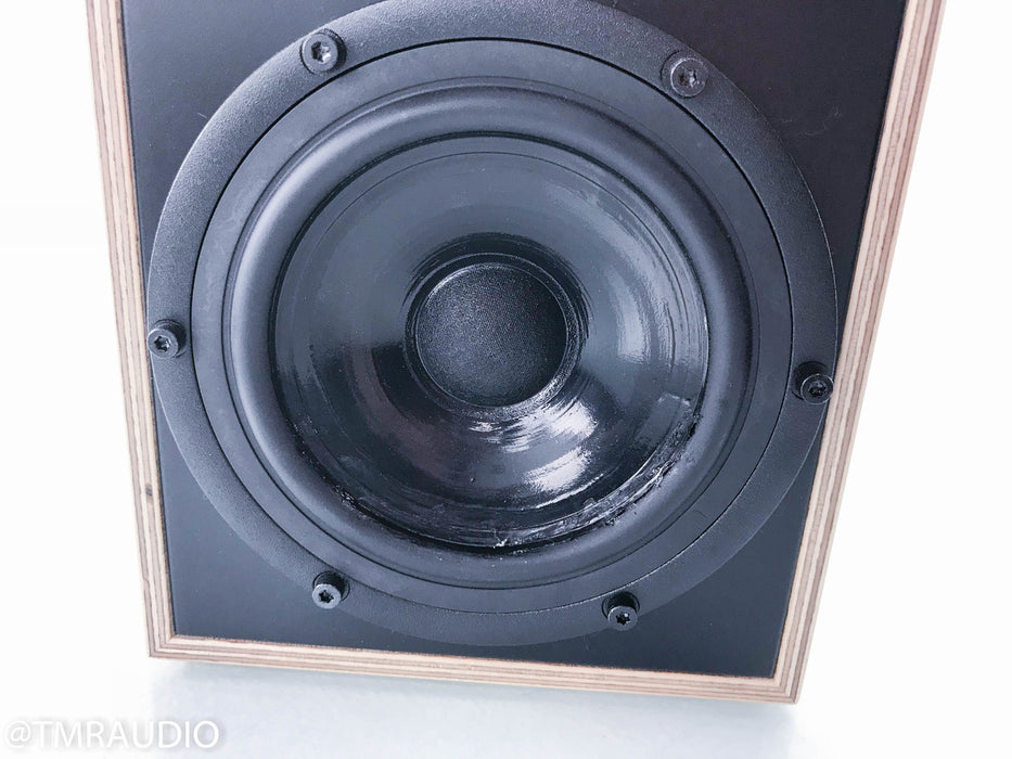 Penaudio Rebel Two Bookshelf Speakers II