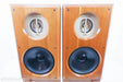 Viking Acoustics Briton Hybrid Studio Monitors