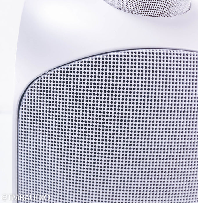 B&W LM1 Leisure Monitor Bookshelf / Surround Speakers