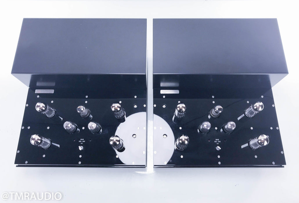 Doshi Audio JHor Monoblock Tube Power Amplifier